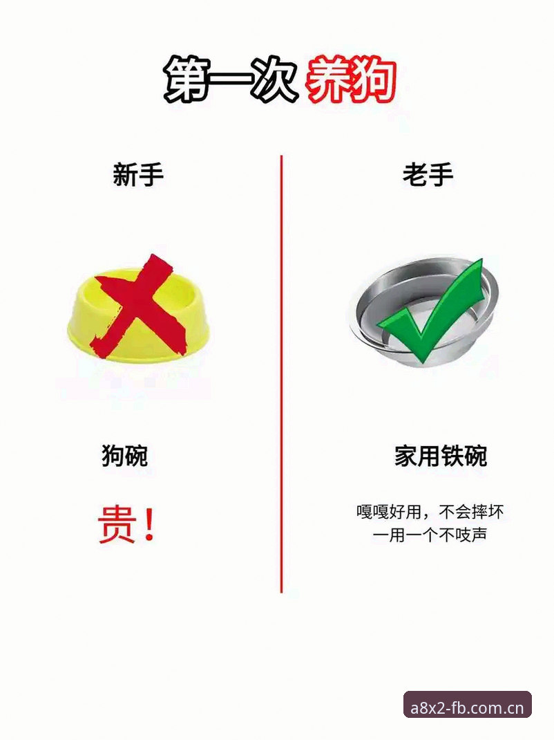 从新人到老手：FB体育综合平台的5个实用经验分享
